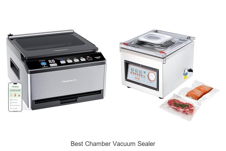 Top 12 Best Chamber Vacuum Sealer For Ultimate Food Freshness