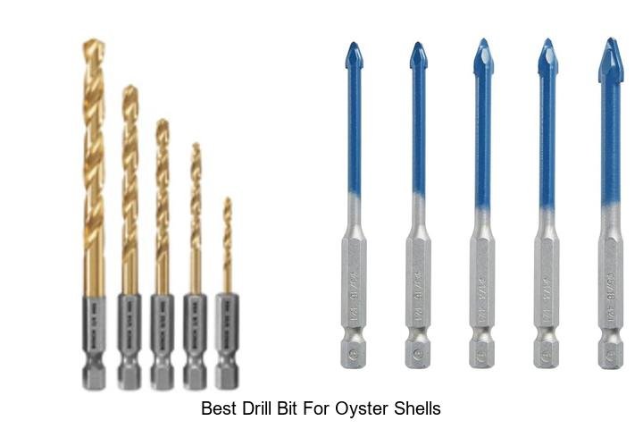 Top 13 Best Drill Bit For Oyster Shells You Must Try Now