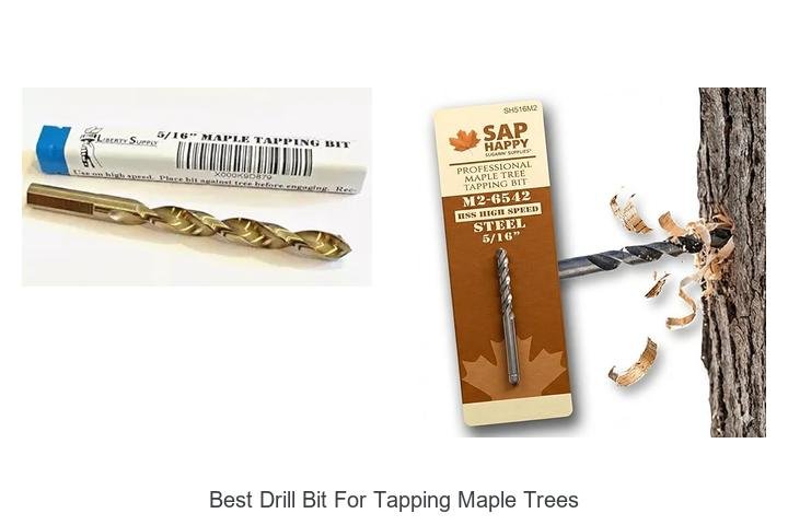 Top 12 Best Drill Bit for Tapping Maple Trees Revealed!