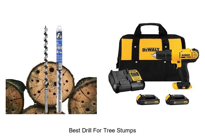 Top 13 Best Drill For Tree Stumps You Can’t Miss Now