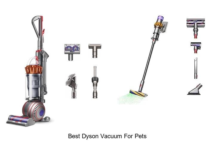 Top 13 Best Dyson Vacuum for Pets That Will Blow Your Mind