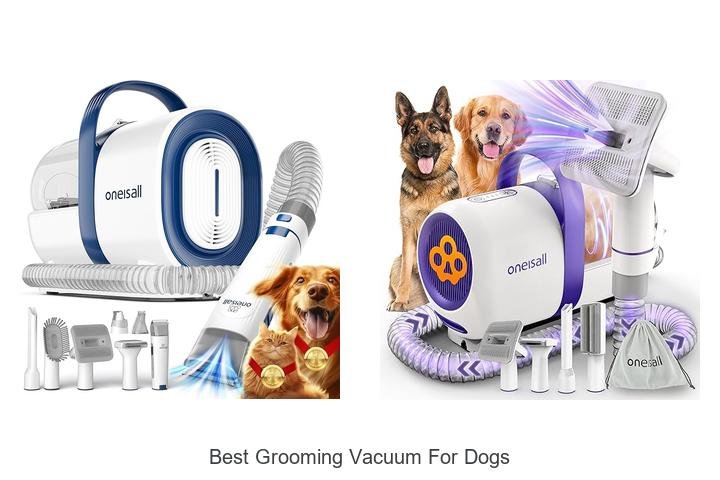 Top 12 Best Grooming Vacuum for Dogs You Can’t Miss