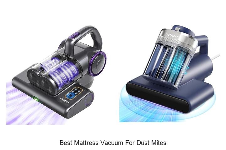 Top 12 Best Mattress Vacuum for Dust Mites That Work Wonders