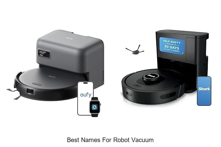 Top 13 Best Names For Robot Vacuum That Will Amaze You