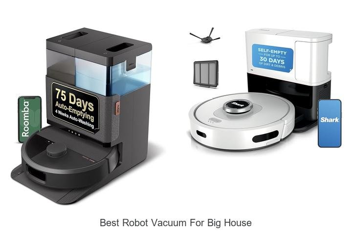 Top 13 Best Robot Vacuum for Big House That WOW You!