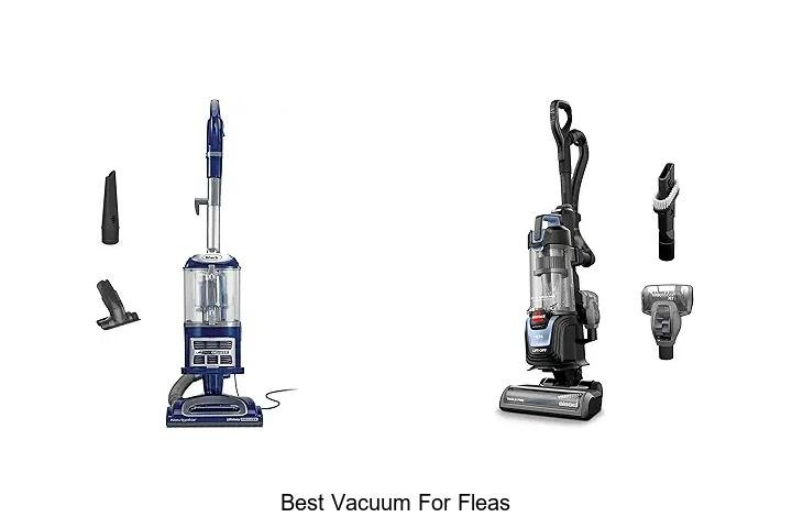 Top 12 Best Vacuum for Fleas That ACTUALLY Works Fast!