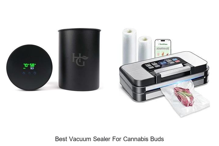 Top 12 Best Vacuum Sealer for Cannabis Buds You Need Now
