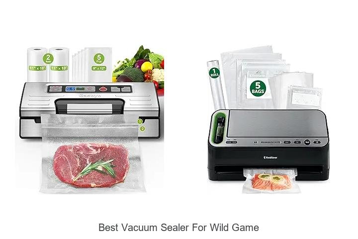 Top 13 Best Vacuum Sealer For Wild Game You Can’t Miss