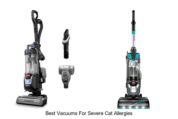 Top 12 Best Vacuums for Severe Cat Allergies That Work!
